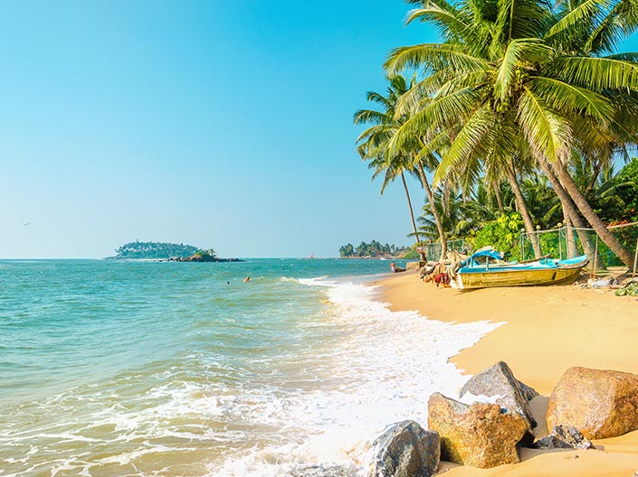 Image of an exotic beach full of palm trees and blue sky in Langkawi, Malaysia.